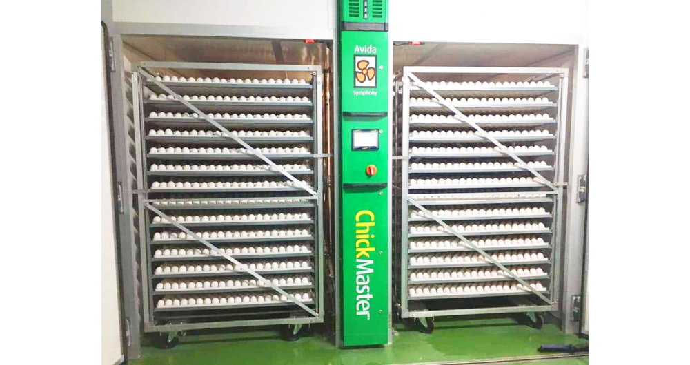 Hệ thống máy ấp, máy nỏ trứng Sông Mây -  KSP Việt Nam