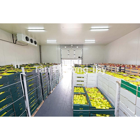 Kho Mát Bảo Quản Thực Phẩm